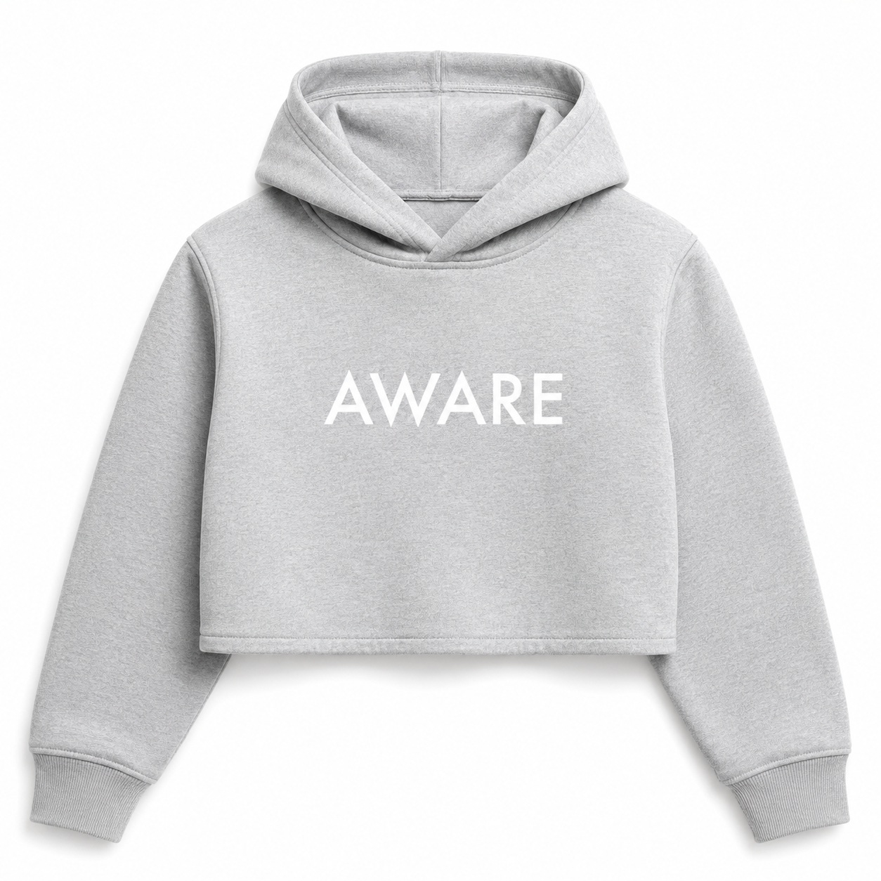 Grey Aware Crop Top Hoodie