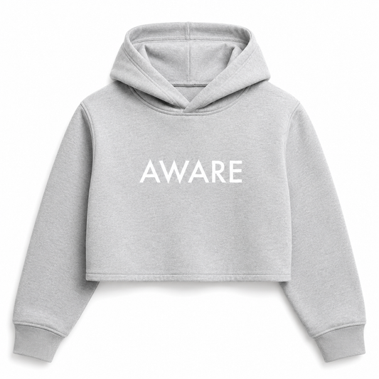Grey Aware Crop Top Hoodie
