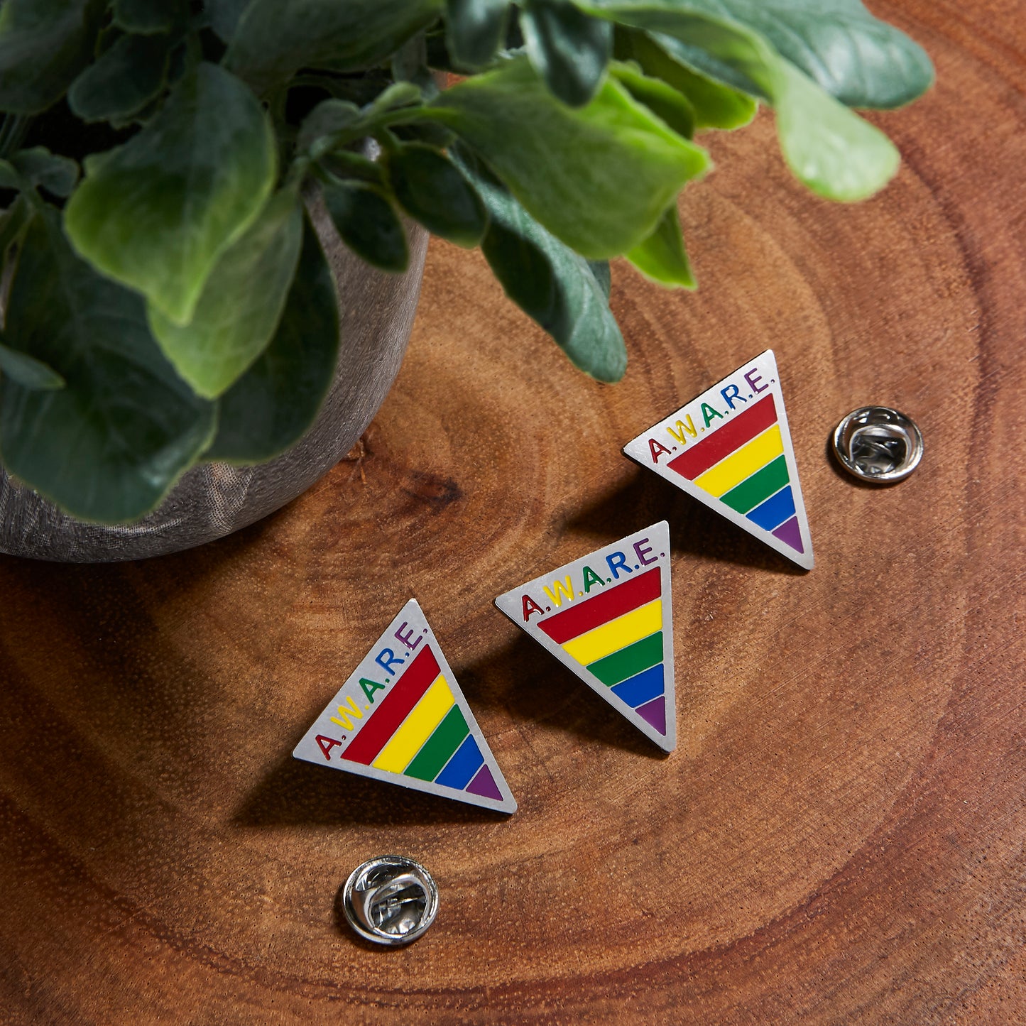 Rainbow AWARE Pins